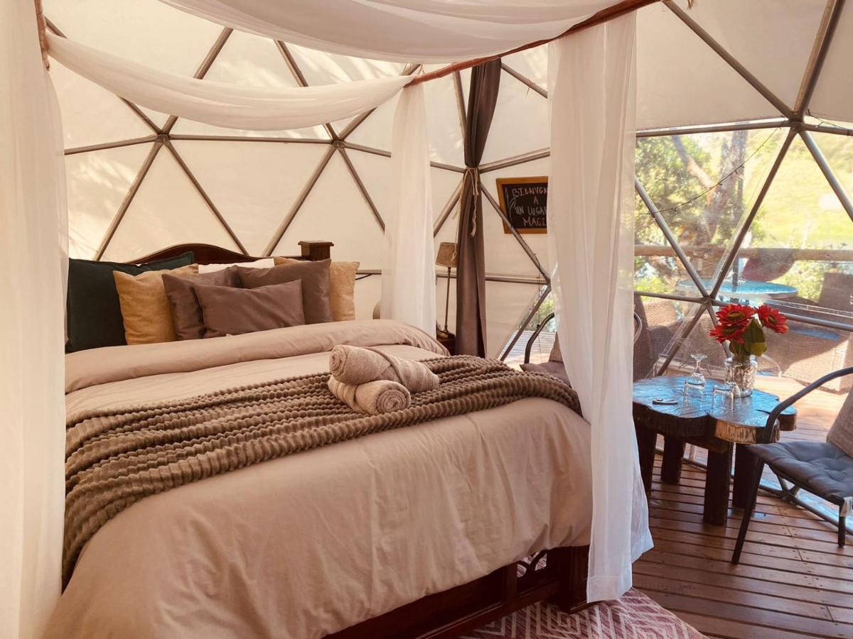 Hotel Celeste Glamping Guatapé Extérieur photo
