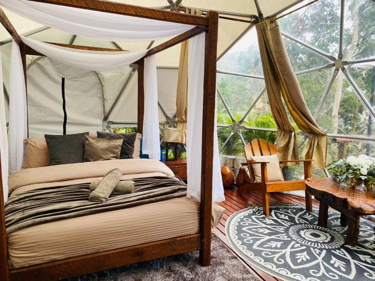 Hotel Celeste Glamping Guatapé Extérieur photo